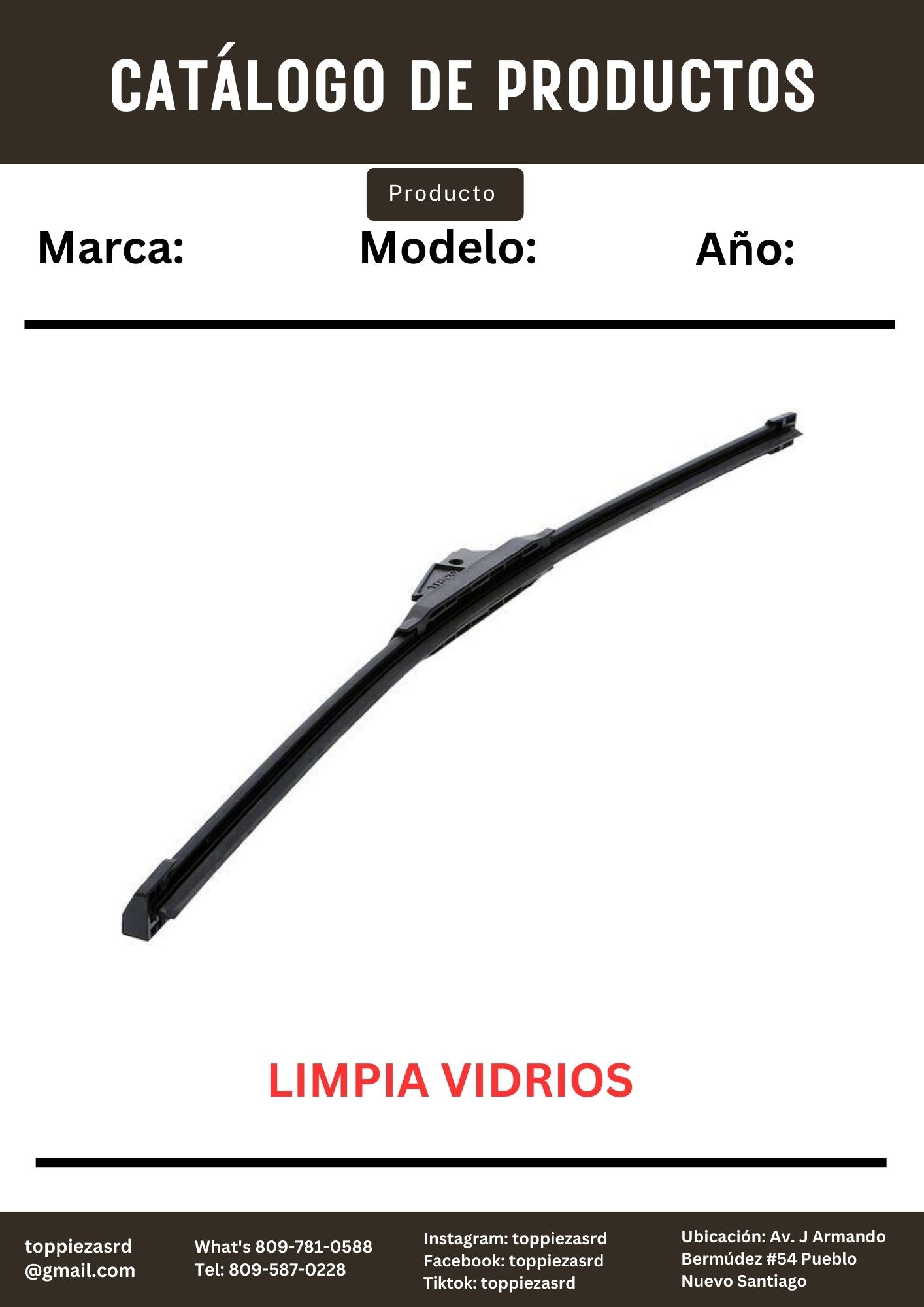 IP-101-21: Limpia Vidrios/Escobilla ECLIPSE.