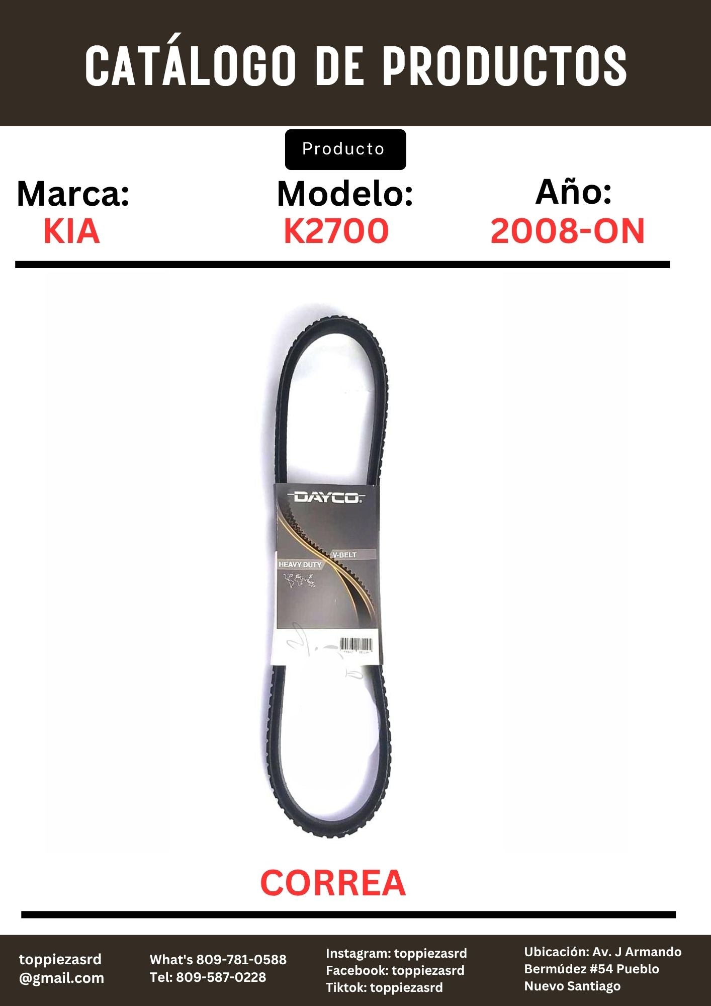 17350/99332-00880: Correa De Aire KIA K2700 2008-24